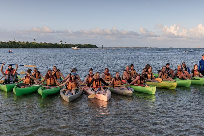 Night Kayaking Experience On Bioluminescent Lagoon In Fajardo Overview Of Guided Night Kayaking