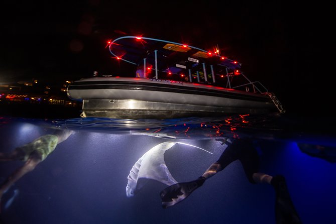 Night Manta Ray Experience Inclusions And Details