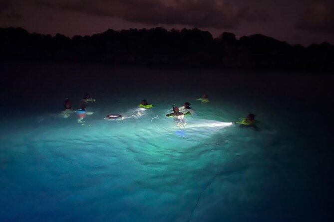 Night Snorkeling And Boat Experience With Appetizer And Drinks Whats Included In The Tour