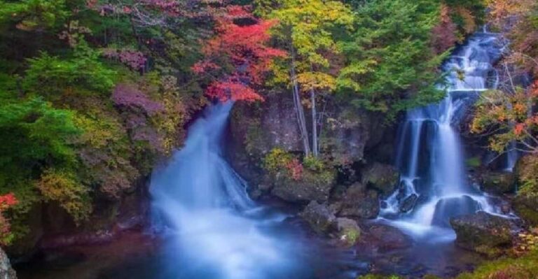 Nikko Toshugo Day Tour Review Tour Overview And Pricing