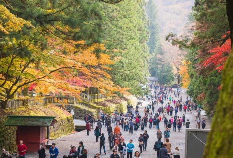 Nikko World Heritage Tour With English Drivers Tour Overview