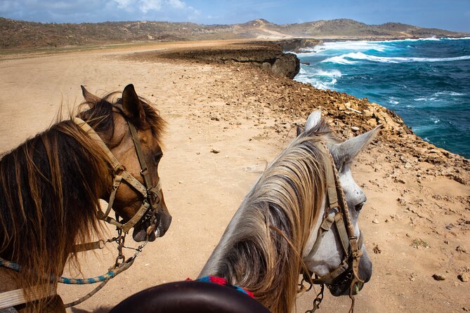 North Coast And Countryside Horseback Riding Tour In Aruba Tour Duration And Inclusions