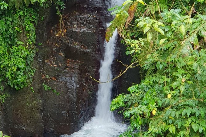 North Island Tour And Martinique Best Secret Waterfall Swim And Black Sand Beach