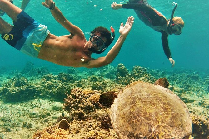 North Shore Circle Island Adventure Including Snorkeling With The Turtles Itinerary Highlights