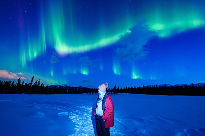 Northern Lights & Aurora Borealis Viewing Small Groups Overview Of The Experience