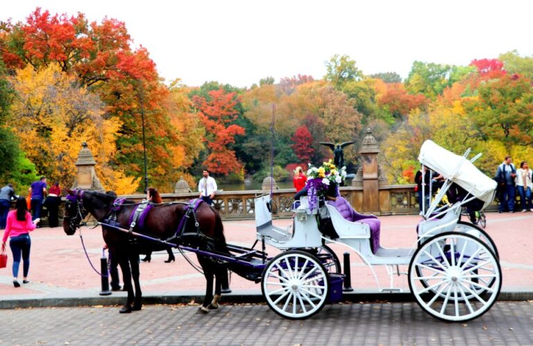 Nyc: Central Park Horse Drawn Carriage Ride (up To 4 Adults) Activity Details