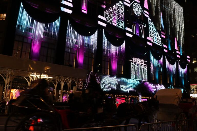 Nyc: Magical Christmas Lights Carriage Ride (up To 4 Adults) Overview Of The Experience