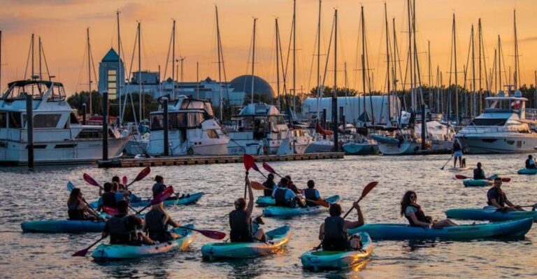 Nyc: Sunset Kayak Tour Of Manhattan From Jersey City Experience Highlights