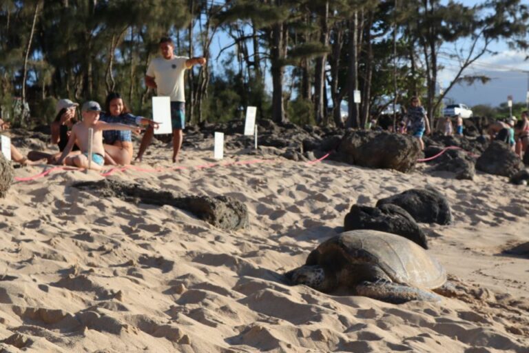 Oahu: Active Circle Island Tour Tour Overview