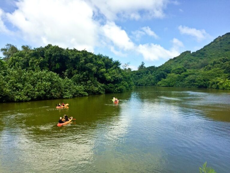 Oahu: Kahana Rainforest River 4 Hour Kayak Rental Activity Overview