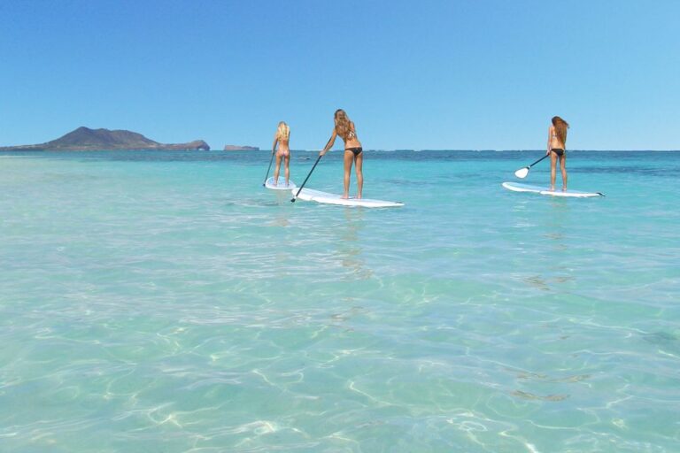 Oahu: Kailua Stand Up Paddle Board Lesson Overview Of Stand Up Paddle Boarding