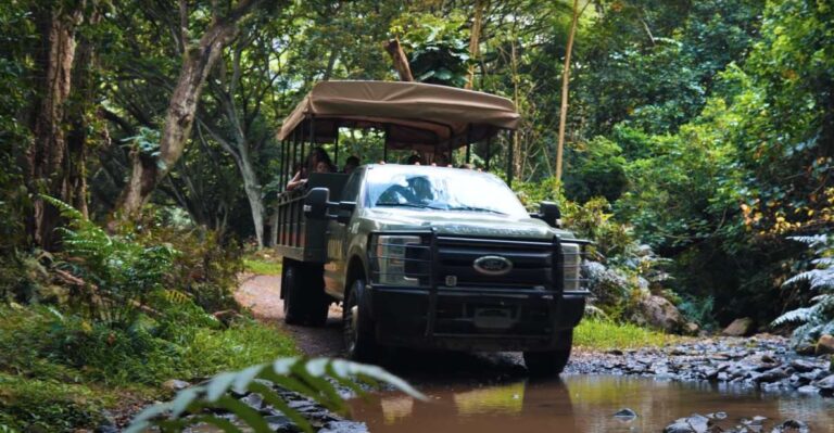 Oahu: Kualoa Open Air Jungle Expedition Tour Overview Of The Tour