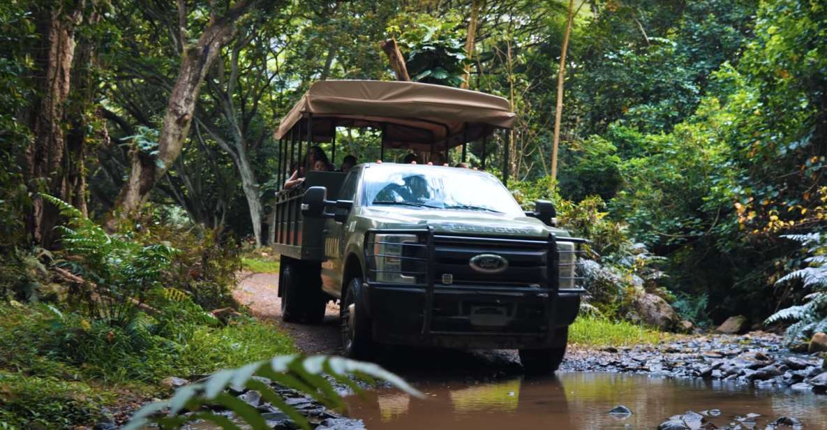 Oahu: Kualoa Open Air Jungle Expedition Tour - Overview of the Tour