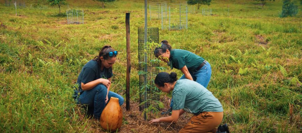 Oahu: Kualoa Ranch Malama Sustainability and Gardening Tour - Experience Overview