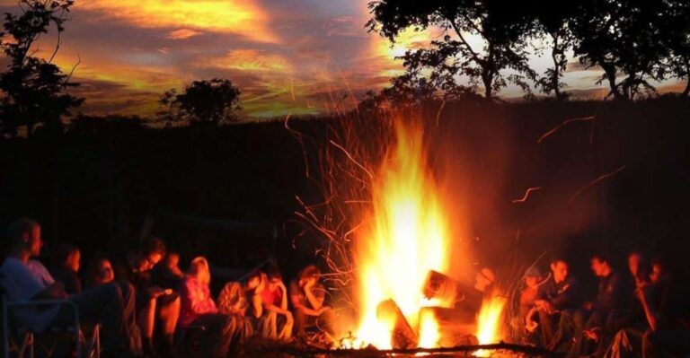 Oahu: Night Zipline Adventure (3 Lines) Activity Overview