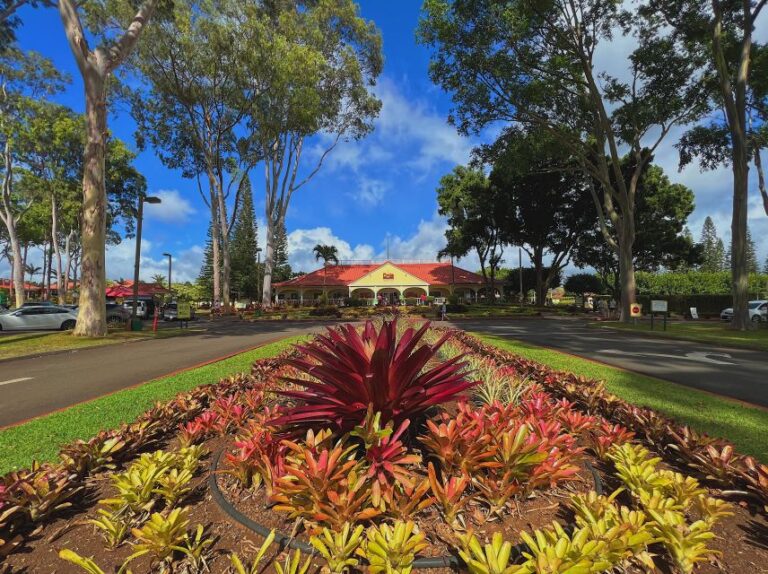 Oahu: North Shore Experience And Dole Plantation Tour Overview And Details