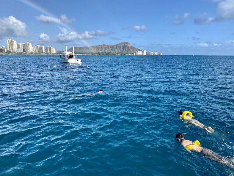 Oahu: Private Turtle Snorkeling With Customizable Itinerary Experience Overview