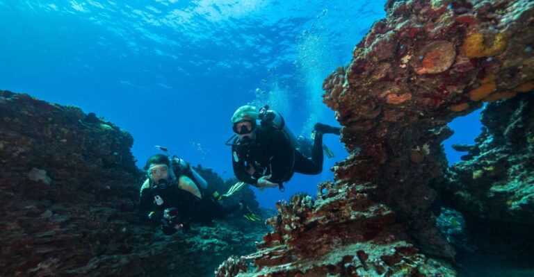 Oahu: Shallow Reef Scuba Dive For Certified Divers Activity Overview