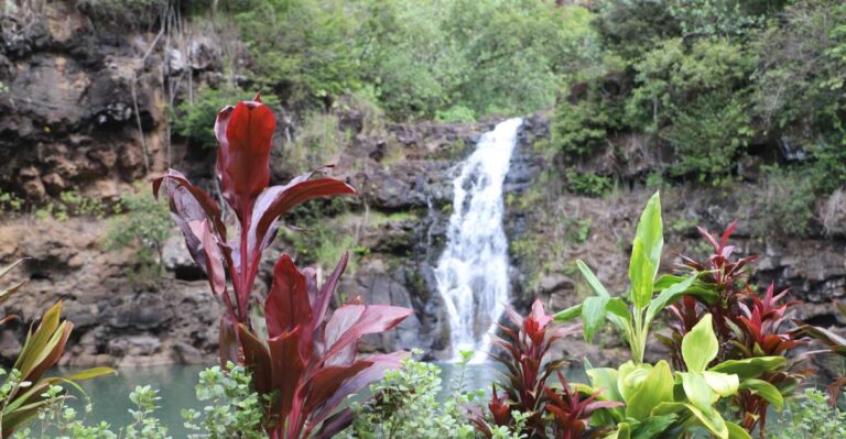 Oahu: Valley Of Waimea Falls Swim & Hike With Lunch & Dole Tour Overview