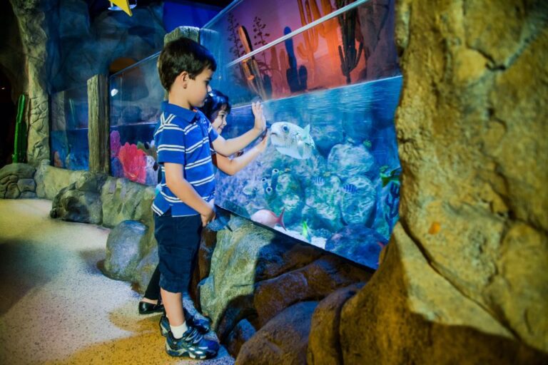 Oberhausen: Legoland Discovery Centre And Sea Life Ticket Ticket Information