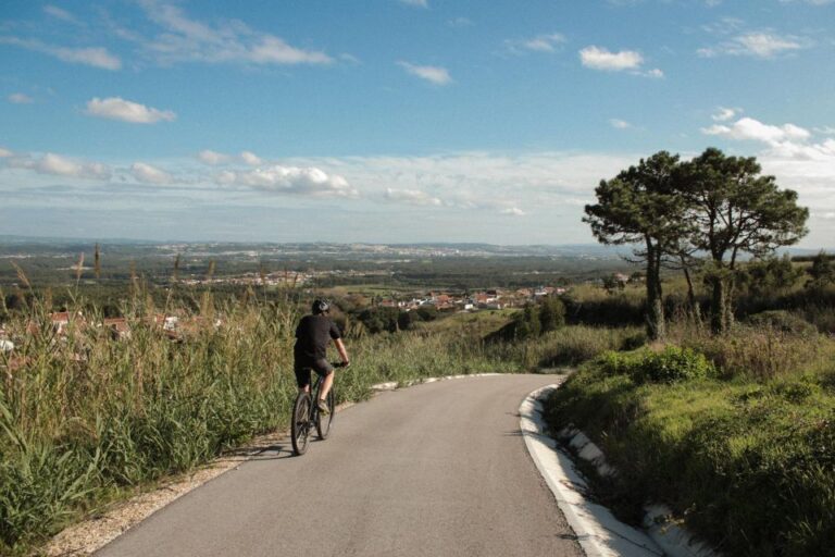 Óbidos: Lagoon Bike Tour Tour Overview