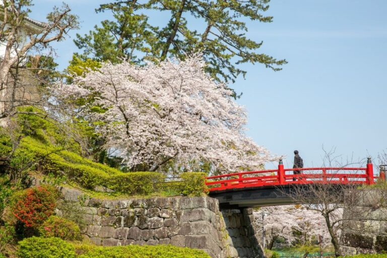 Odawara: Odawara Castle Tenshukaku Entrance Ticket Ticket Information And Pricing