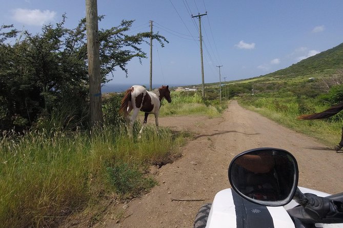 Off Roading Morning Excursion Overview Of The Excursion