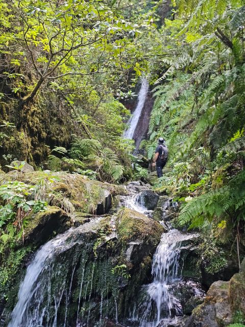 Off The Beaten Path,levada Do Seixal, Madeira Island Charming Landscapes Of Madeira