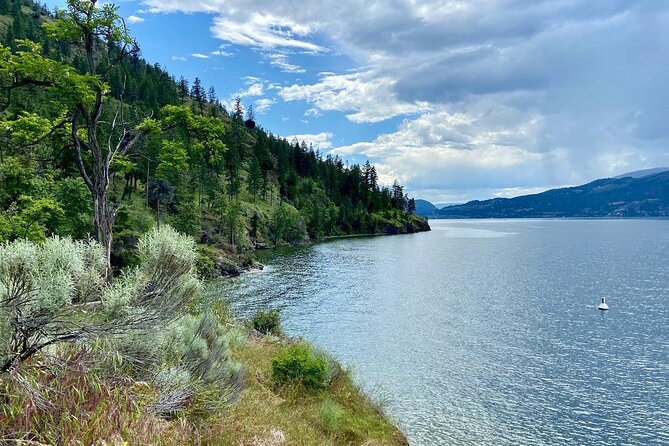 Okanagan Lake Views Guided E Bike Tour With Picnic Overview Of The Tour