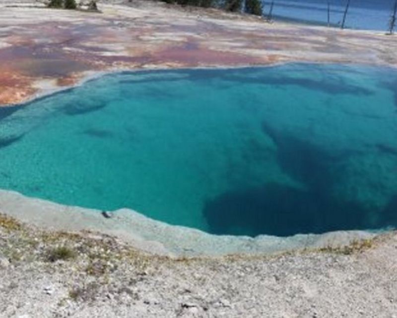 Old Faithful Lower Loop Tours - Tour Overview