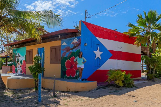 Old San Juan Loiza African Town Full Day Tour: 8+ People Group Old San Juan Exploration