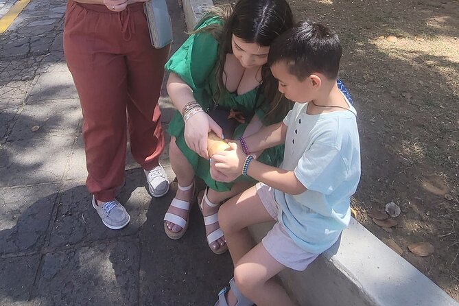 Old San Juan: Science And History Family Fun Tour Included Features