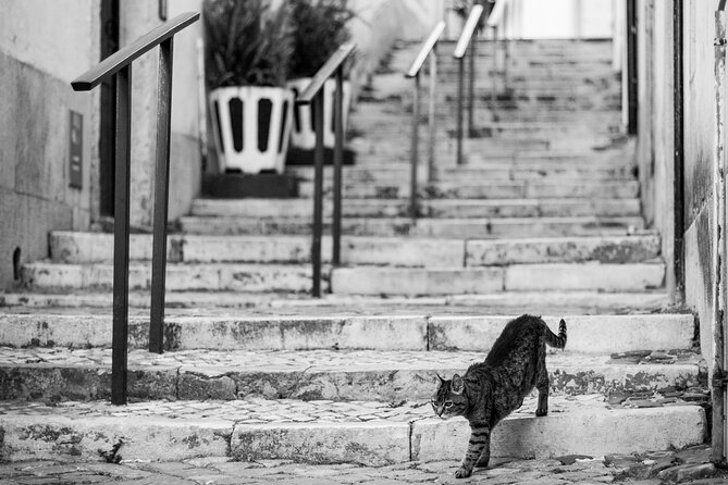 Old Town Lisbon Photography Tour Inclusions And Meeting Details