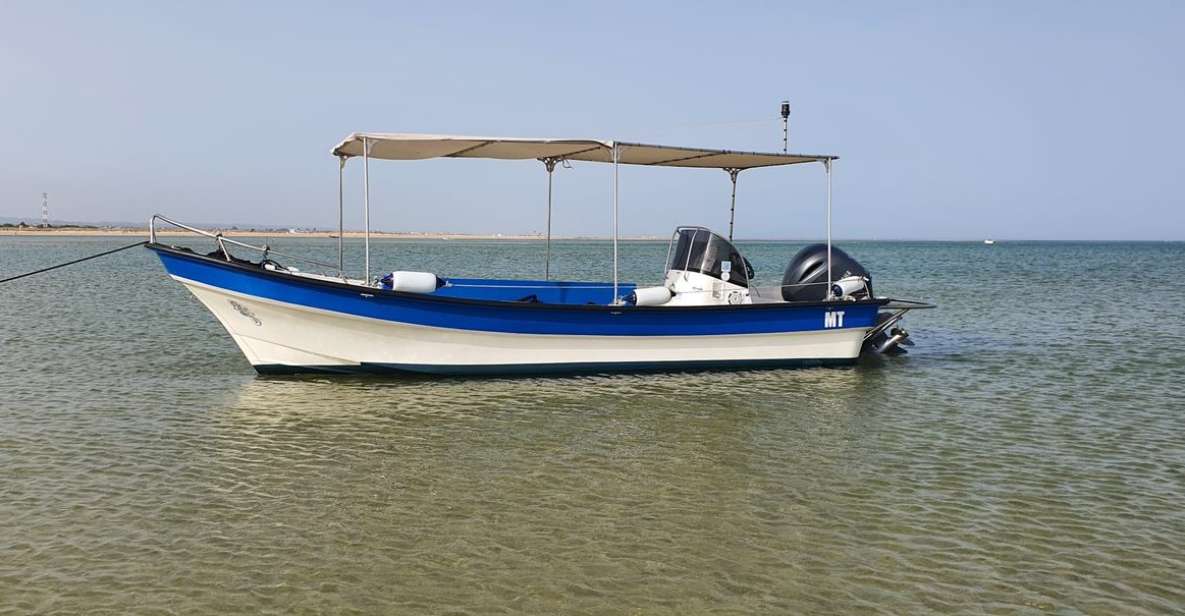 Olhão: 5-Hour Ride With 3 Stops on the Beaches and Islands of Ria Formosa - Activity Overview