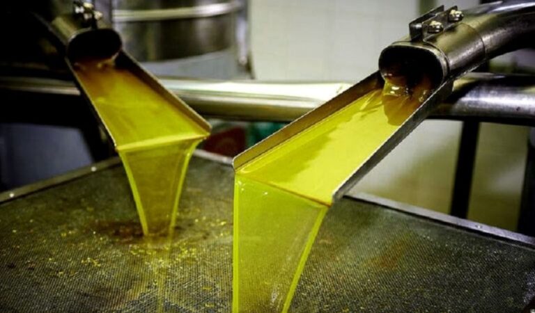 Olive Mill Visit & Olive Oil Tasting 3 Hour Trip Private Overview And Pricing