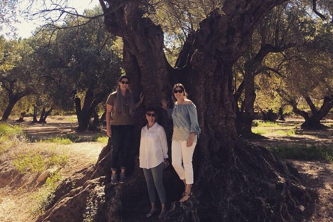 Olive Oil Tour And Visit To Belchite Old Town Location And Accessibility