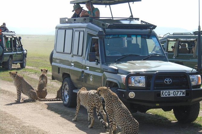 Olpejeta, Lake Naivasha, Masai Mara 5 Days Private Kenya Jeep Tour - Overview of the Tour