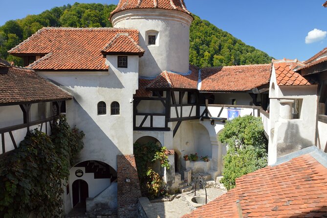 One Day Private Tour to Peles and Dracula Castles & Brasov City - Tour Overview