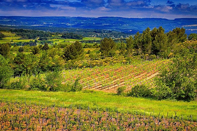 One Night Stay, Wine Tour, Wine and Dine for Two Guests - Barrel Room Visit and Wine Aging