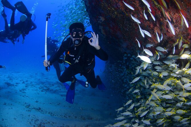 Open Water Diver Course In Arrabida Natural Park (near Lisbon) Overview Of The Course