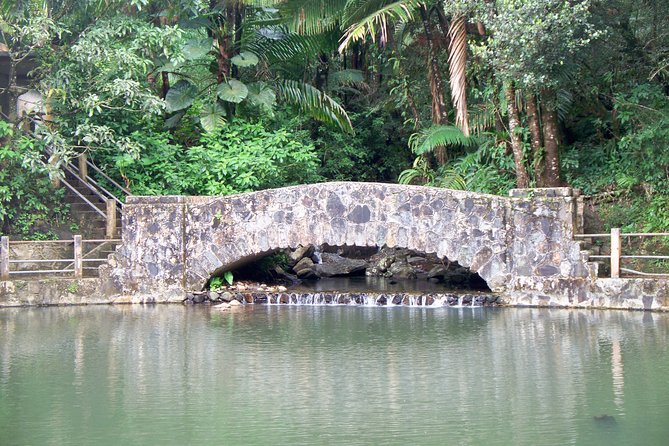 Original Tropical Rainforest And Beach Adventure Health And Safety Guidelines