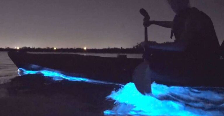 Orlando: Bioluminescence Clear Kayaking Or Paddleboarding Tour Overview