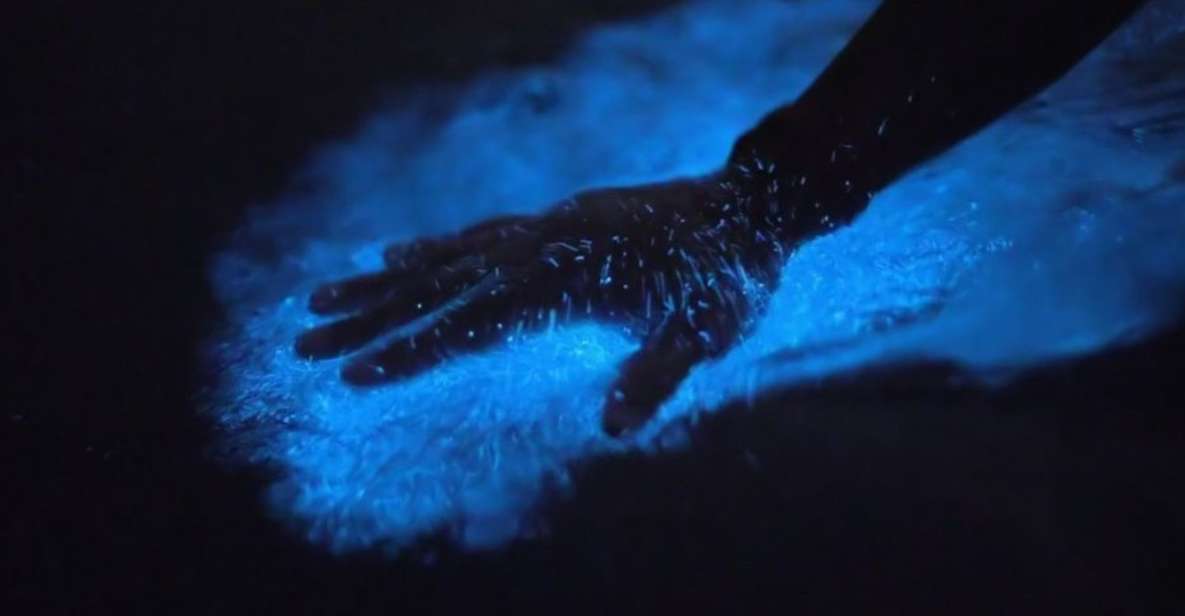 Orlando: Bioluminescence Kayak and Swim Adventure - Tour Overview