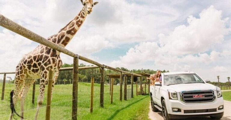 Orlando: Drive Thru Safari Park At Wild Florida Park Overview And Admission Details