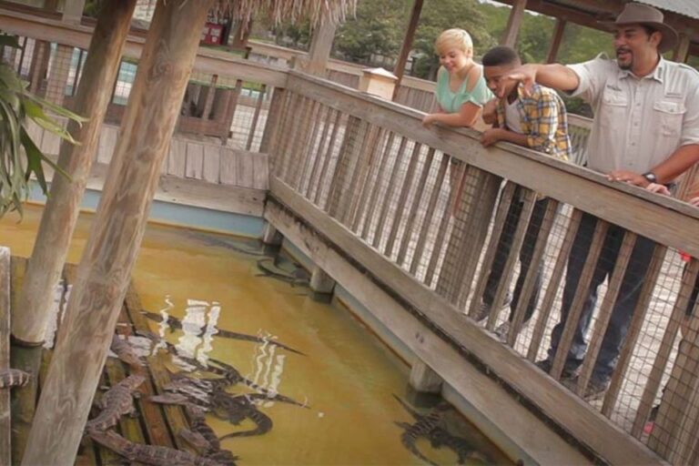 Orlando: Gatorland Interactive Tour With Animal Trainer Tour Overview And Pricing