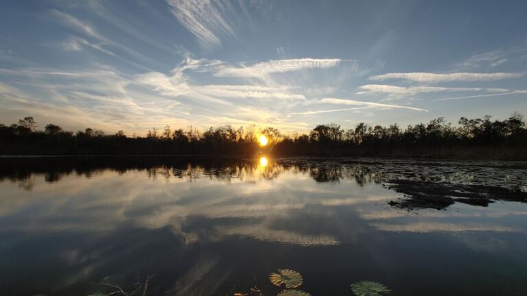 Orlando: Sunset Guided Kayaking Tour Tour Overview