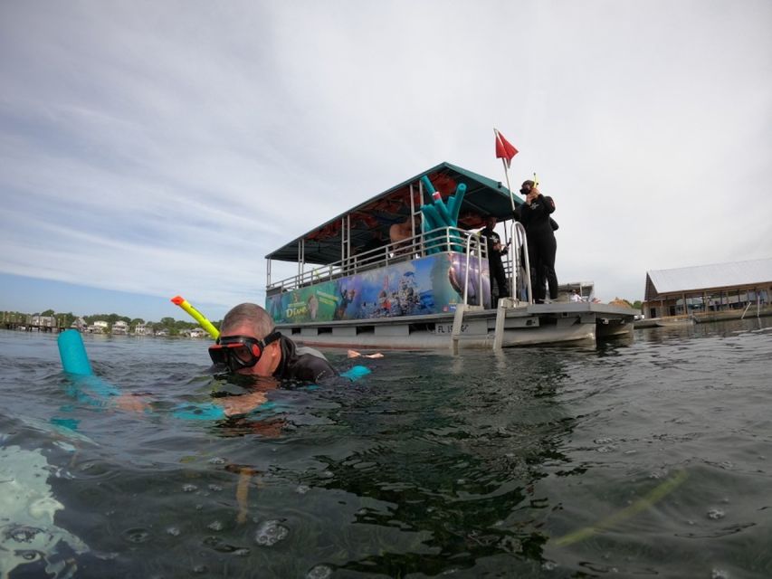 Orlando: Swim With Manatees and Homosassa State Park Visit - Tour Overview