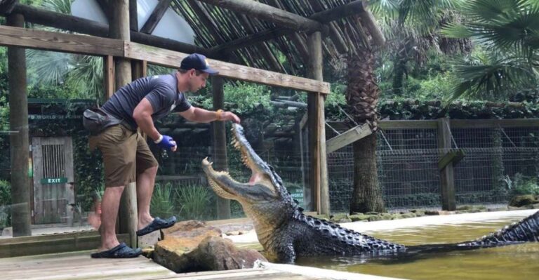 Orlando: Wild Florida Park, Gator Show & Animal Encounters Overview And Pricing