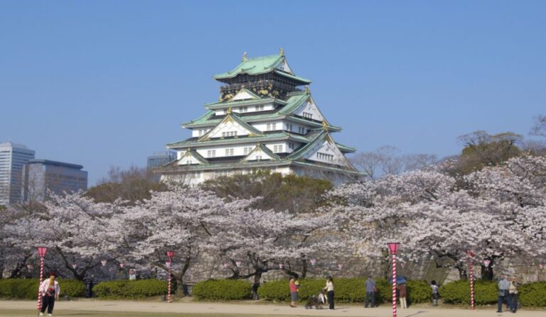 Osaka: 10 Hour Customizable Tour With Private Car Tour Duration And Pricing