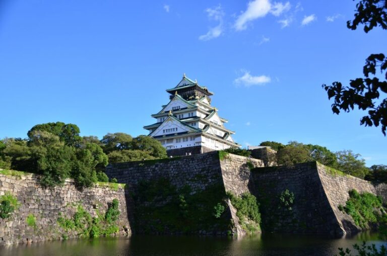 Osaka: Full Day Sightseeing Tour By Private Vehicle Tour Overview And Pricing